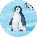 Jennifer Donnelly profile picture