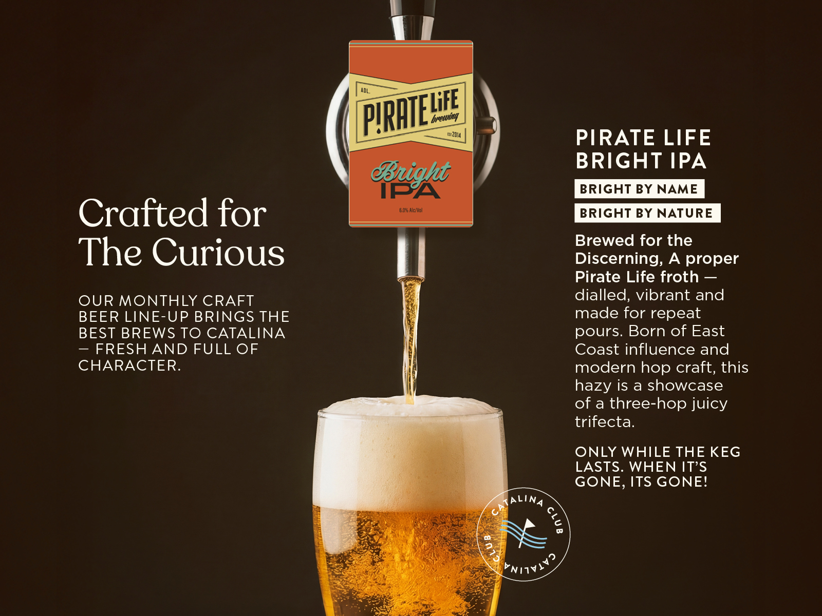 CRAFTED FOR THE CURIOUS